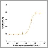 s100 heterodimers