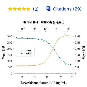 Human IL-11 Neutralizing Antibody