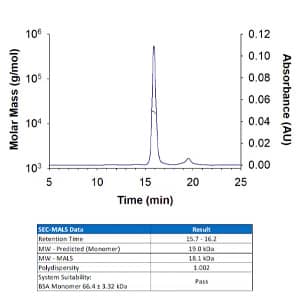 Recombinant Human IL-11 Protein