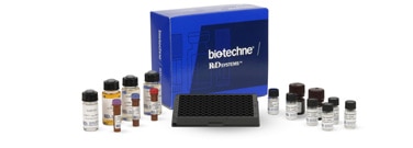 R&D Systems Luminex High Performance Panel - Magnetic