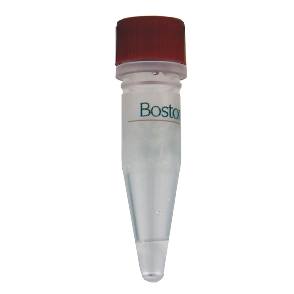 Boston Biochem Supplemental Ubiquitin Reagents