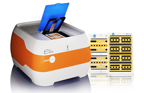 Human IGFBP-2 Ella Assay