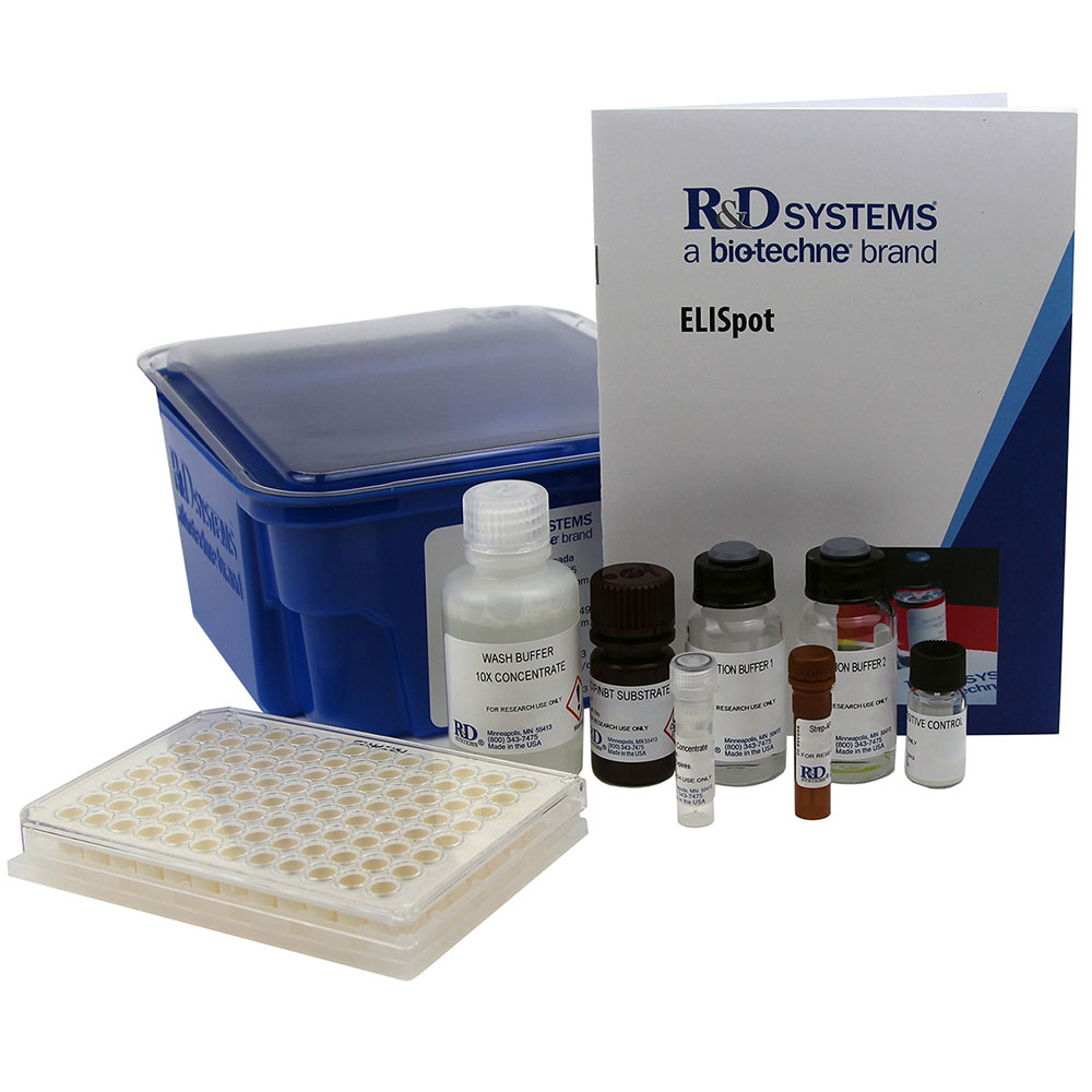 R&D Systems ELISpot and FluoroSpot Kits