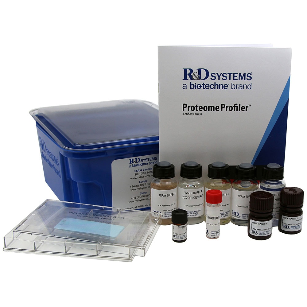 R&D Systems Proteome Profiler Antibody Array Kits