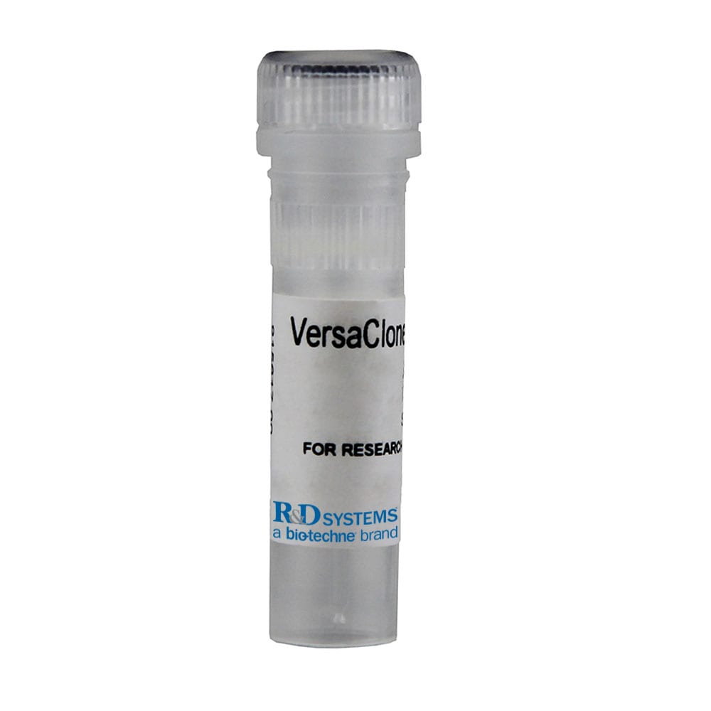 R&D Systems VersaClone cDNA Plasmids