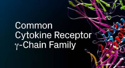 Common Cytokine Receptor gamma-Chain Family Brochure