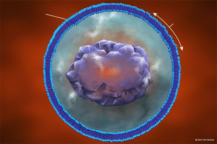 Organelles: Peroxisomes: R&D Systems