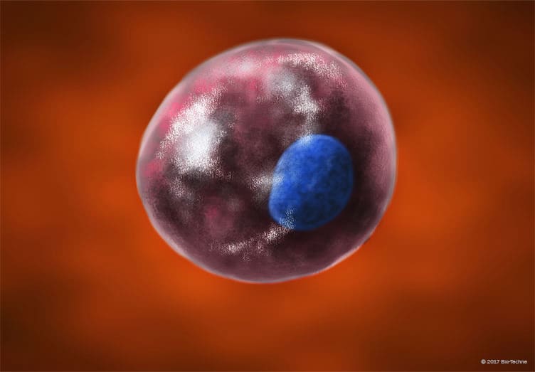 R&D Systems Cell Markers : Property title Property title