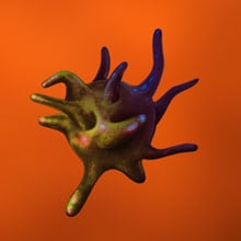 media:image_remote:e7a4080b-50b9-4871-a8d8-7c13e7cd8bb6