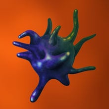 media:image_remote:2aa4f66d-acde-48c5-bbe9-5f591a815cde