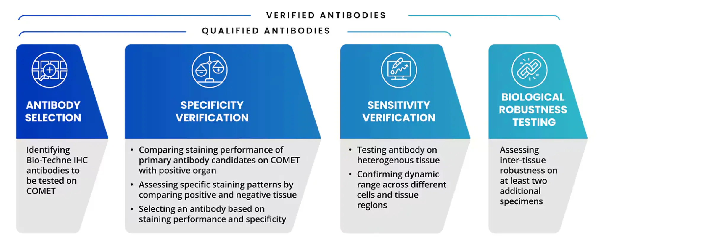 Figure 1: R&D Systems' Lunaphore certified antibody testing process