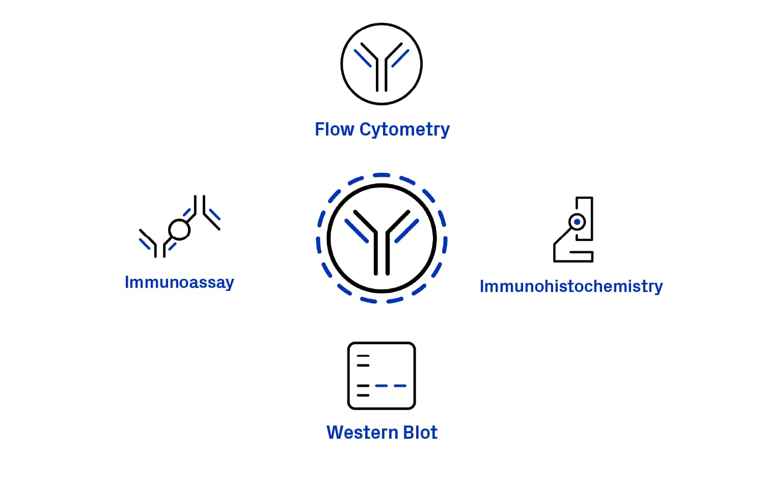 Application-Led Antibody Validation