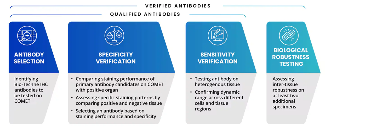 Illustration showing antibody testing process for mIF on COMET with descriptions of antibody sensitivity and specificity