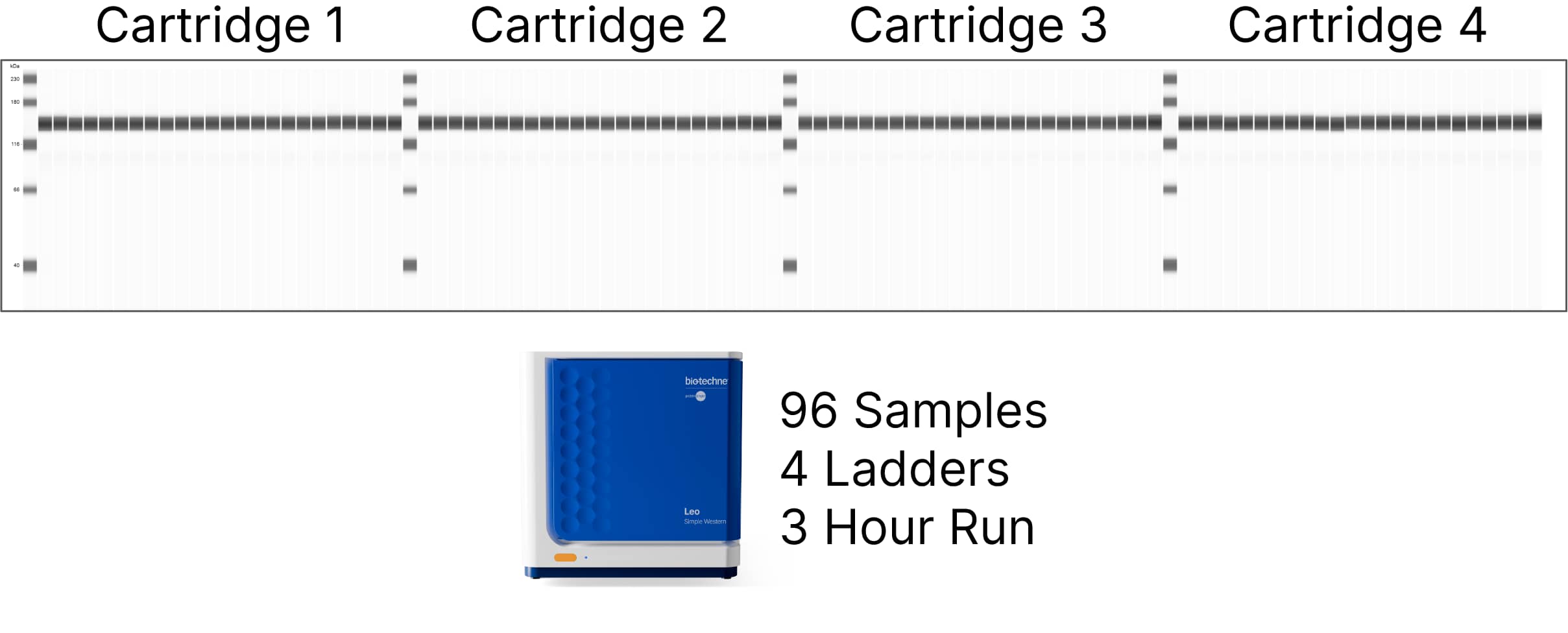 High Throughput & Flexibility