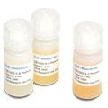ProteinSimple Premix G2, ampholyte-free separation gradient (1.5 mL) for Simple Western
