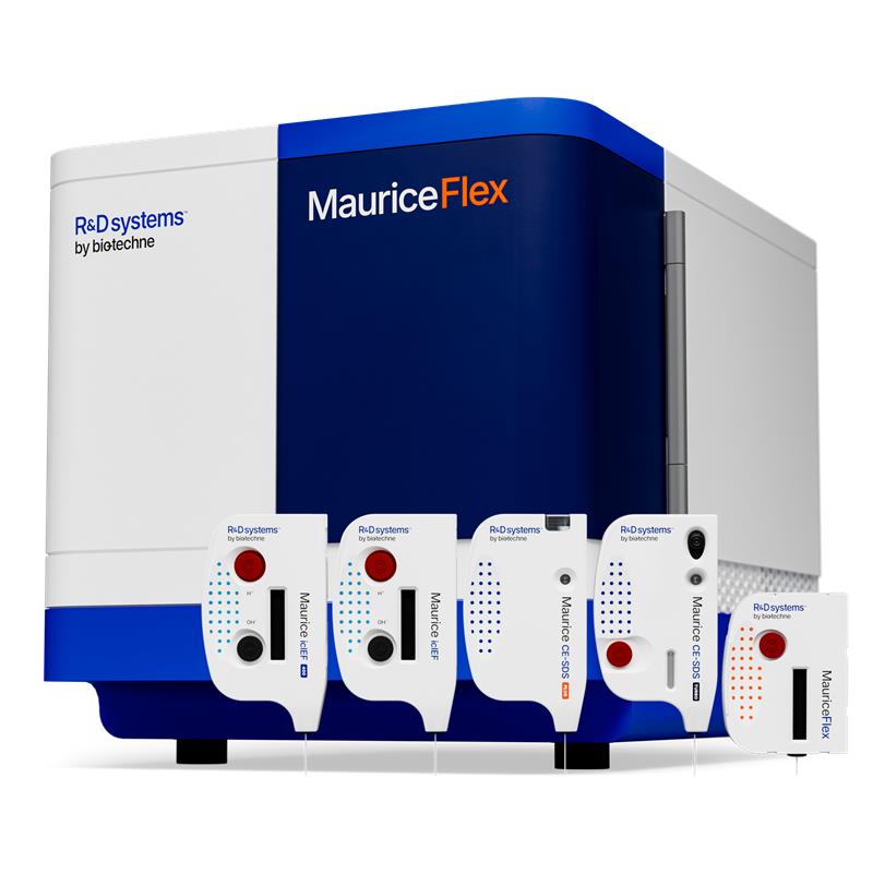 MauriceFlex with cartridges for icIEF, CE-SDS, and Fractionation
