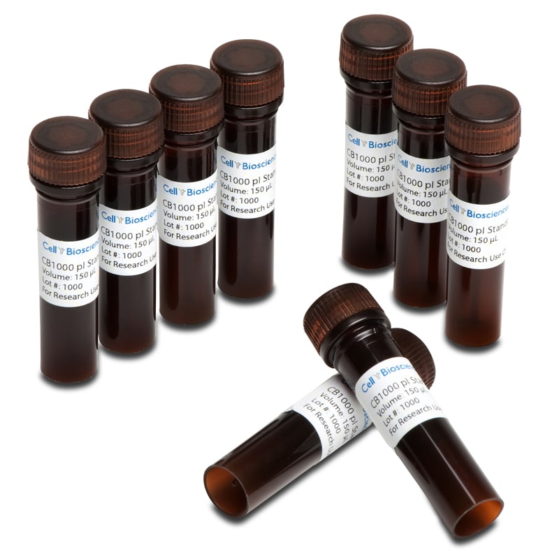 ProteinSimple pI Standard Ladder 4 for Simple Western