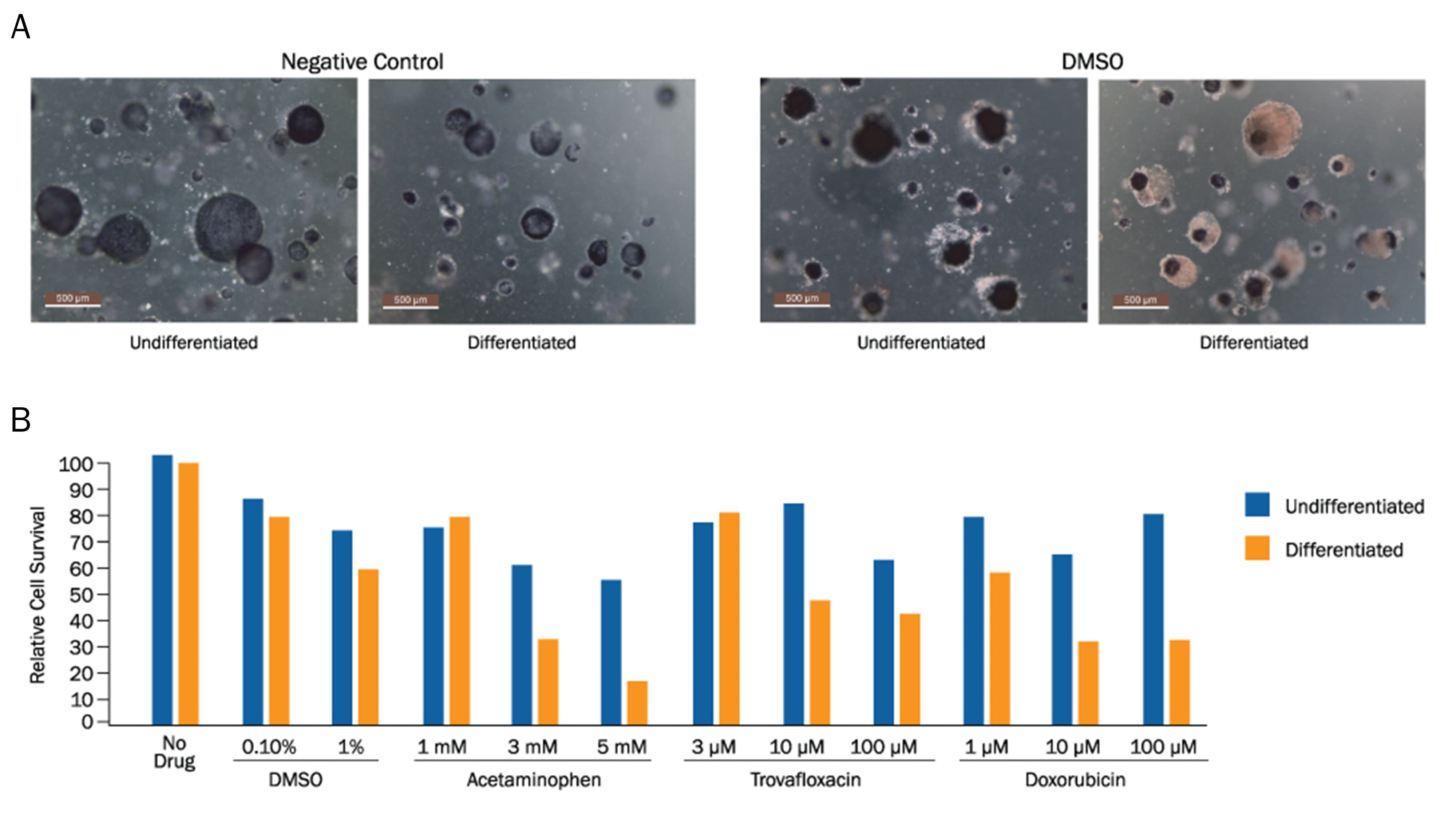 TACS MTT Cell Proliferation Assay 4890-050-K: R&D Systems