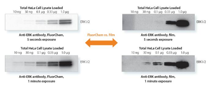 I'm tired of doing multiple exposures with film to get the images I need