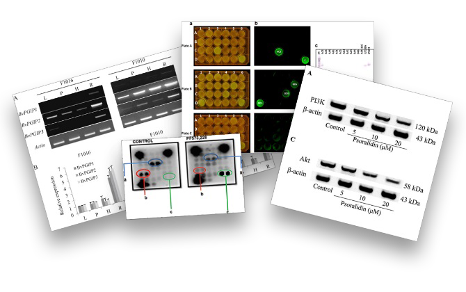 I need to publish my results—how do I know I can get the quality images I need?
