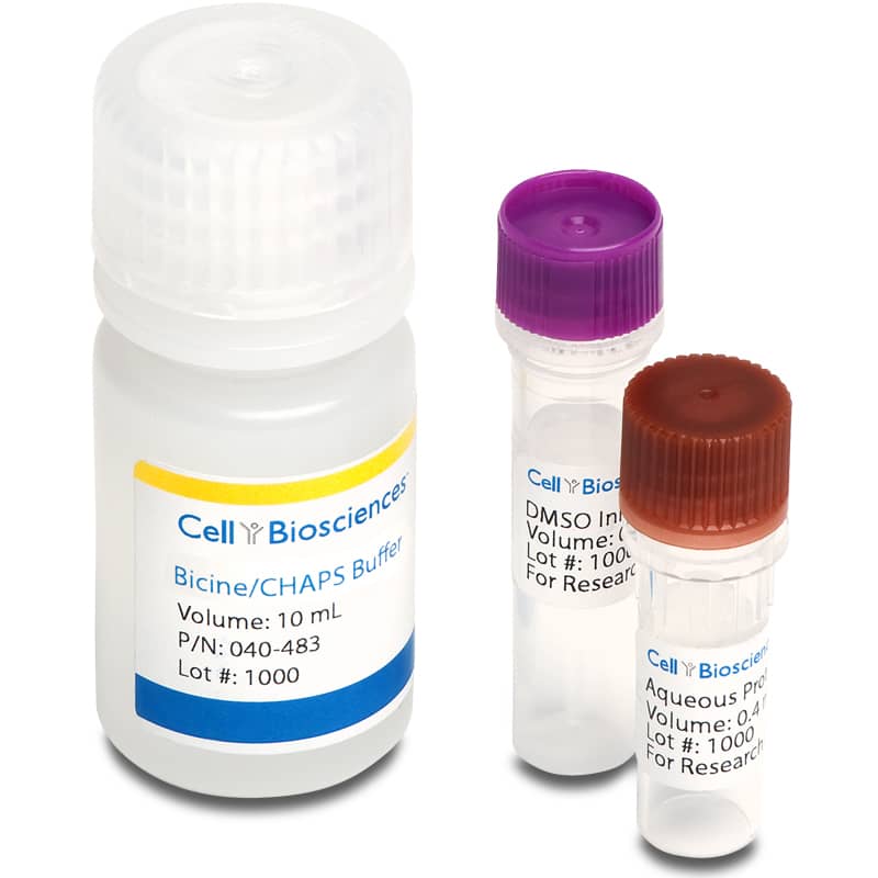 ProteinSimple Lysis Kit - Bicine/CHAPS Buffer for Charge Assays for Simple Western