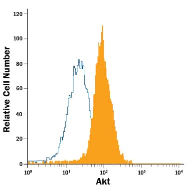 Detection of Akt antibody in Jurkat Human Cell Line antibody by Flow Cytometry.