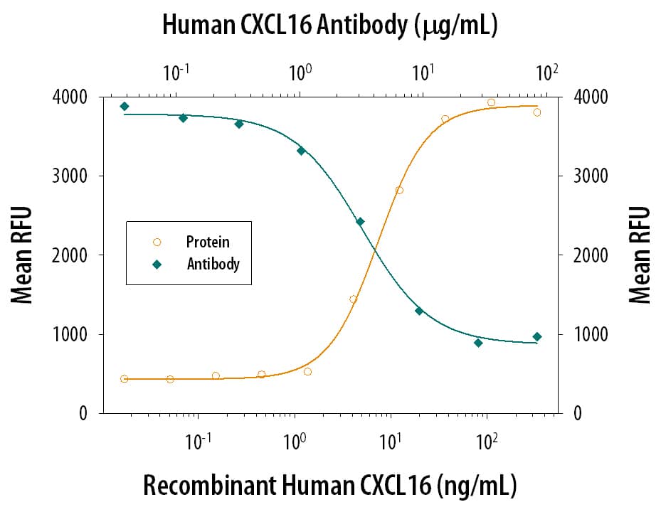 Chemotaxis Induced by CXCL16 and Neutralization by Human CXCL16 Antibody.