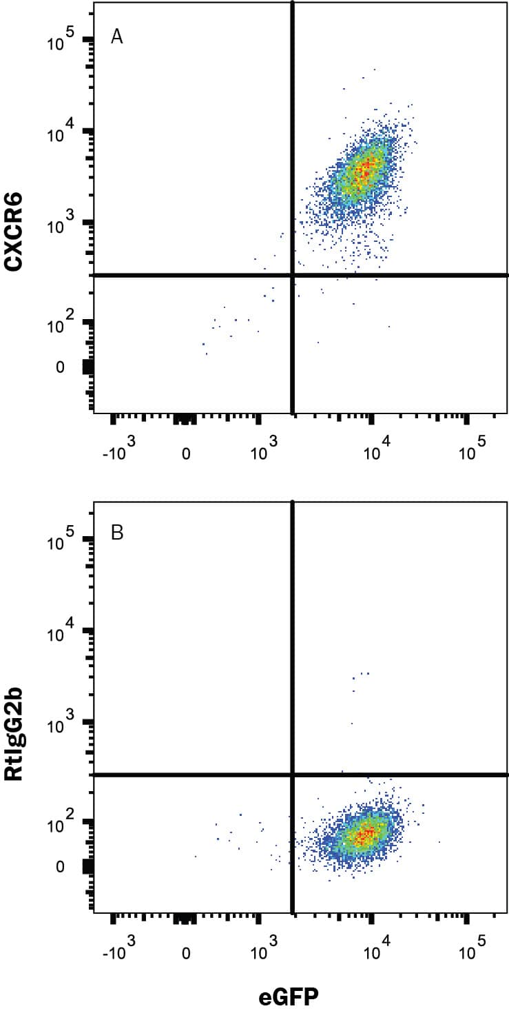 Mouse CXCR6 Alexa Fluor® 647conjugated Antibody FAB2145R100UG R&D