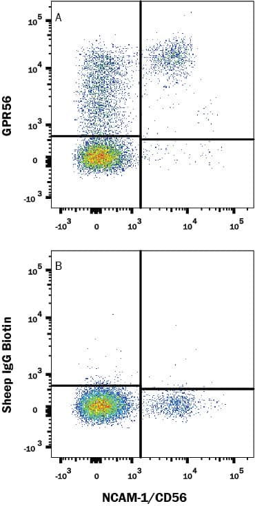 Detection of GPR56 antibody in Human Blood Lymphocytes antibody by Flow Cytometry.