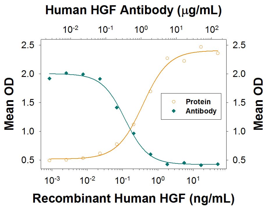 IL-11 Secretion Induced by HGF and Neutralization by Human HGF Antibody.