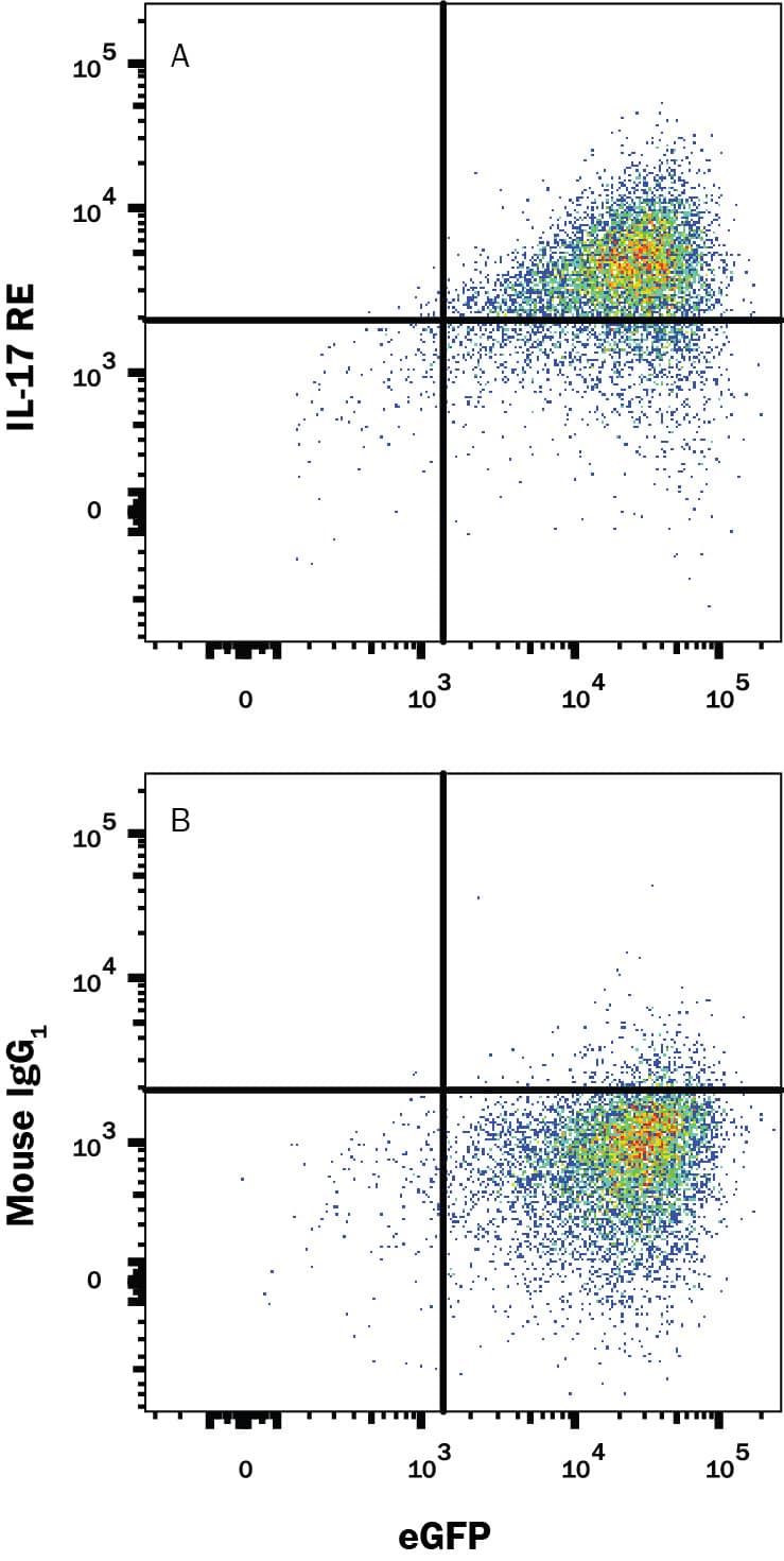 Detection of IL-17 RE antibody in HEK293 Human Cell Line Transfected with Human IL-17 RE and eGFP antibody by Flow Cytometry.