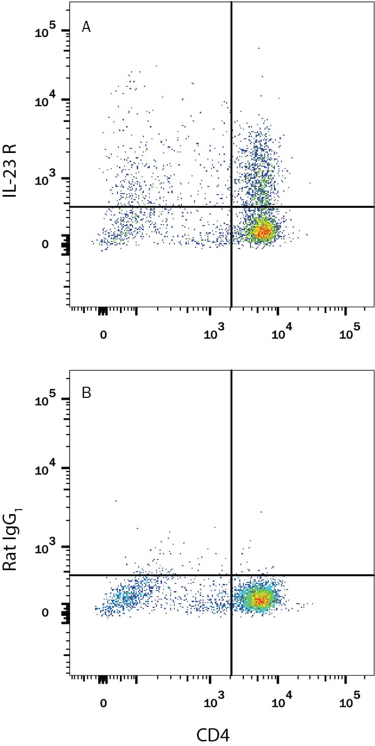 Detection of IL-23 R antibody in Mouse Splenocytes antibody by Flow Cytometry.