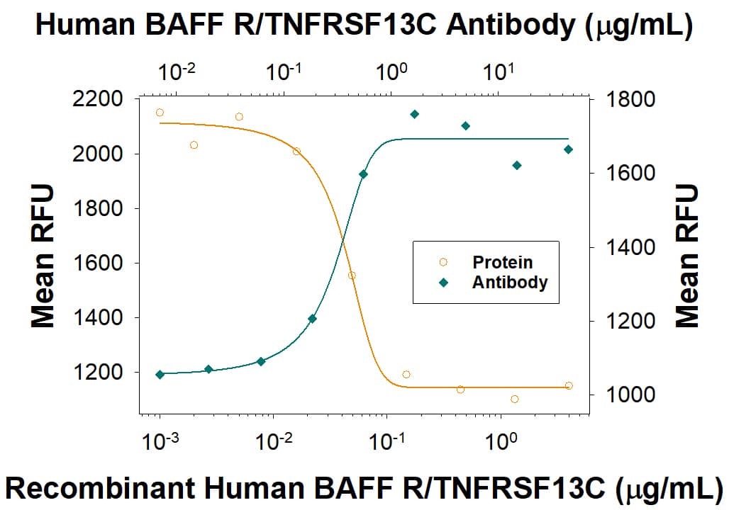 BAFF R/TNFRSF13C Inhibition of BAFF/BLys/ TNFSF13B-dependent Cell Proliferation and Neutralization by Human BAFF R/TNFRSF13C Antibody.