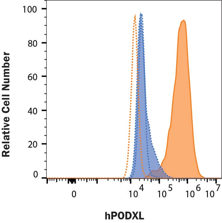 Anti-Podocalyxin Antibody AF1658: R&D Systems