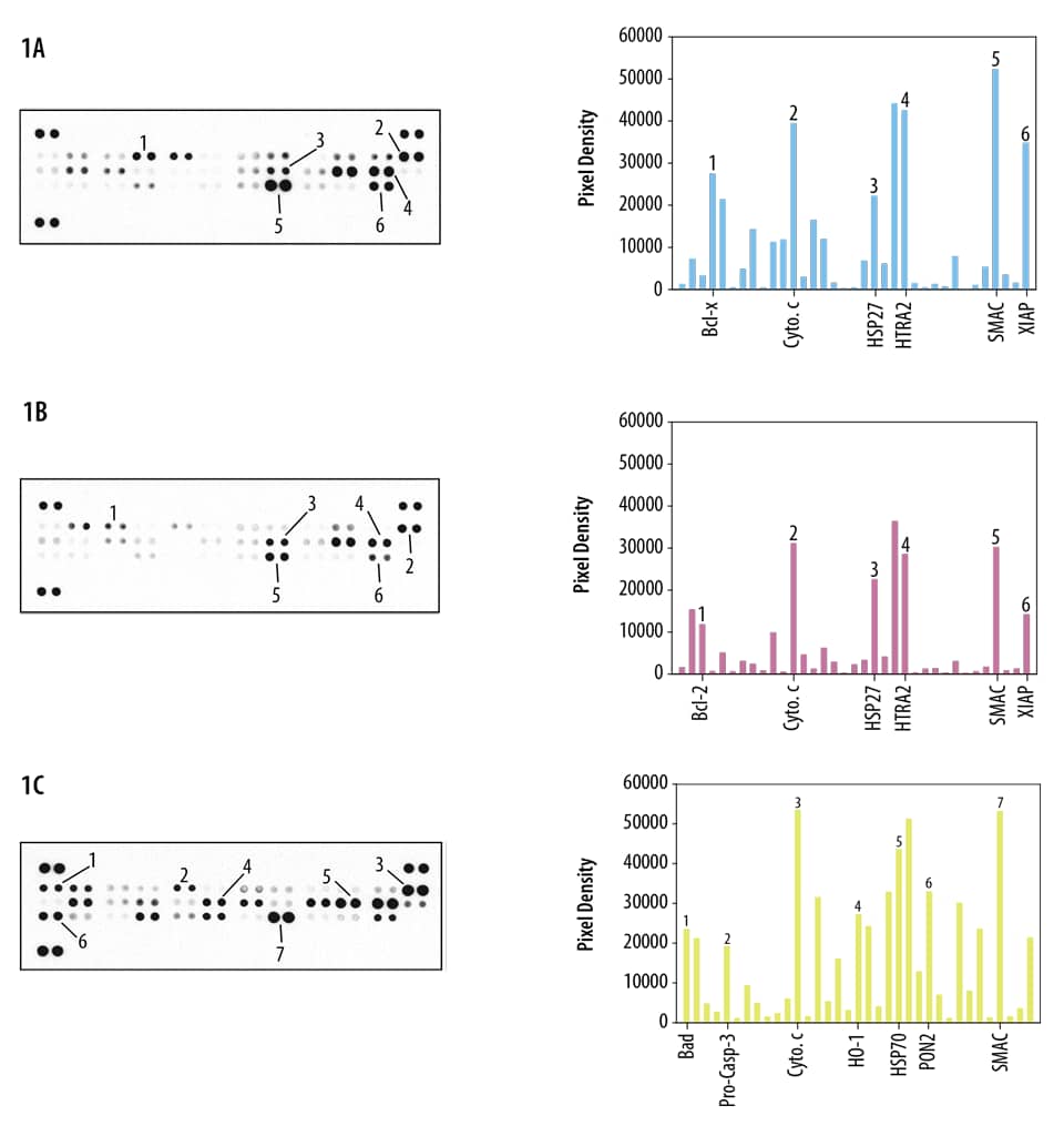 Proteome Profiler Human Apoptosis Array Kit Ary009 R D Systems