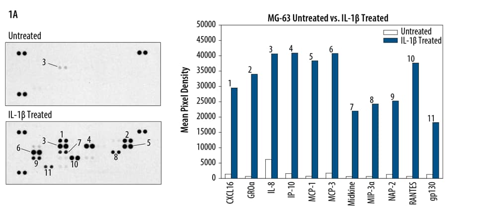 Detection of Multiple Analytes in Cell Culture Supernate with the Human Chemokine Array.