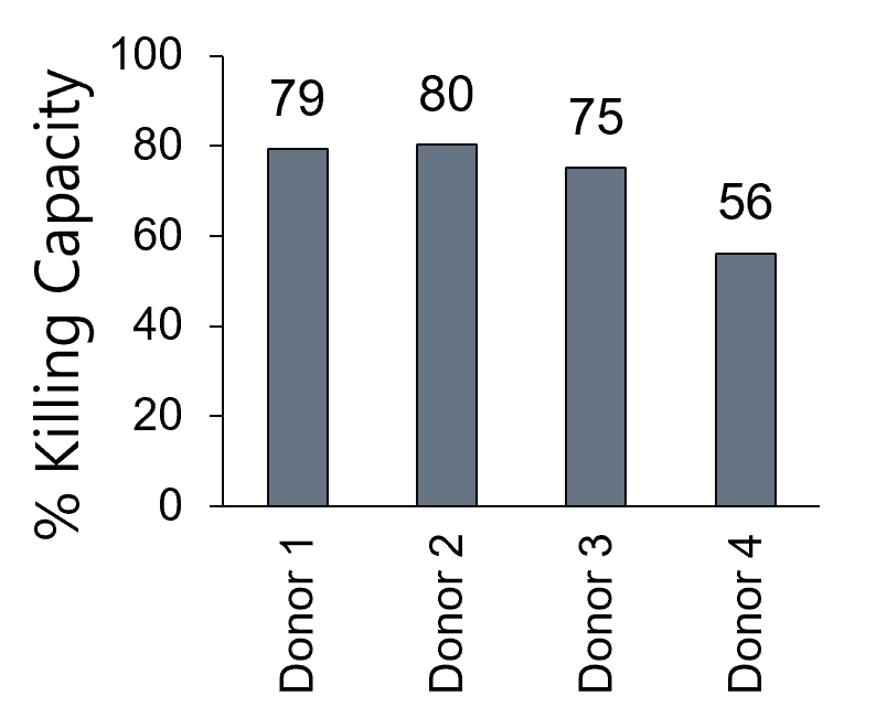 NK Cell killing capacity according to four donors. NK Cell killing capacity according to four donors.
