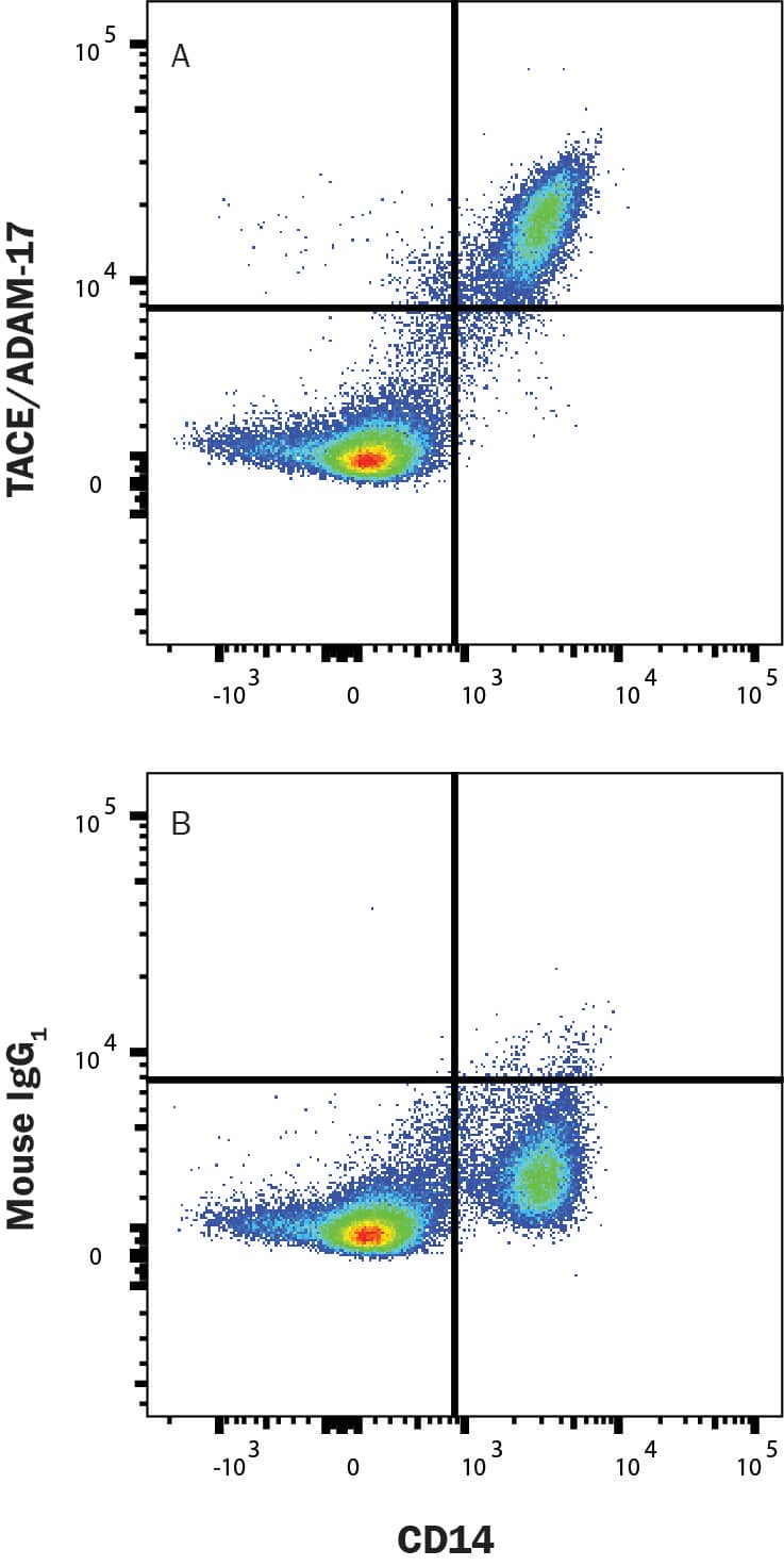 Human Gene ADAM17 (ENST00000310823.8) from GENCODE V43