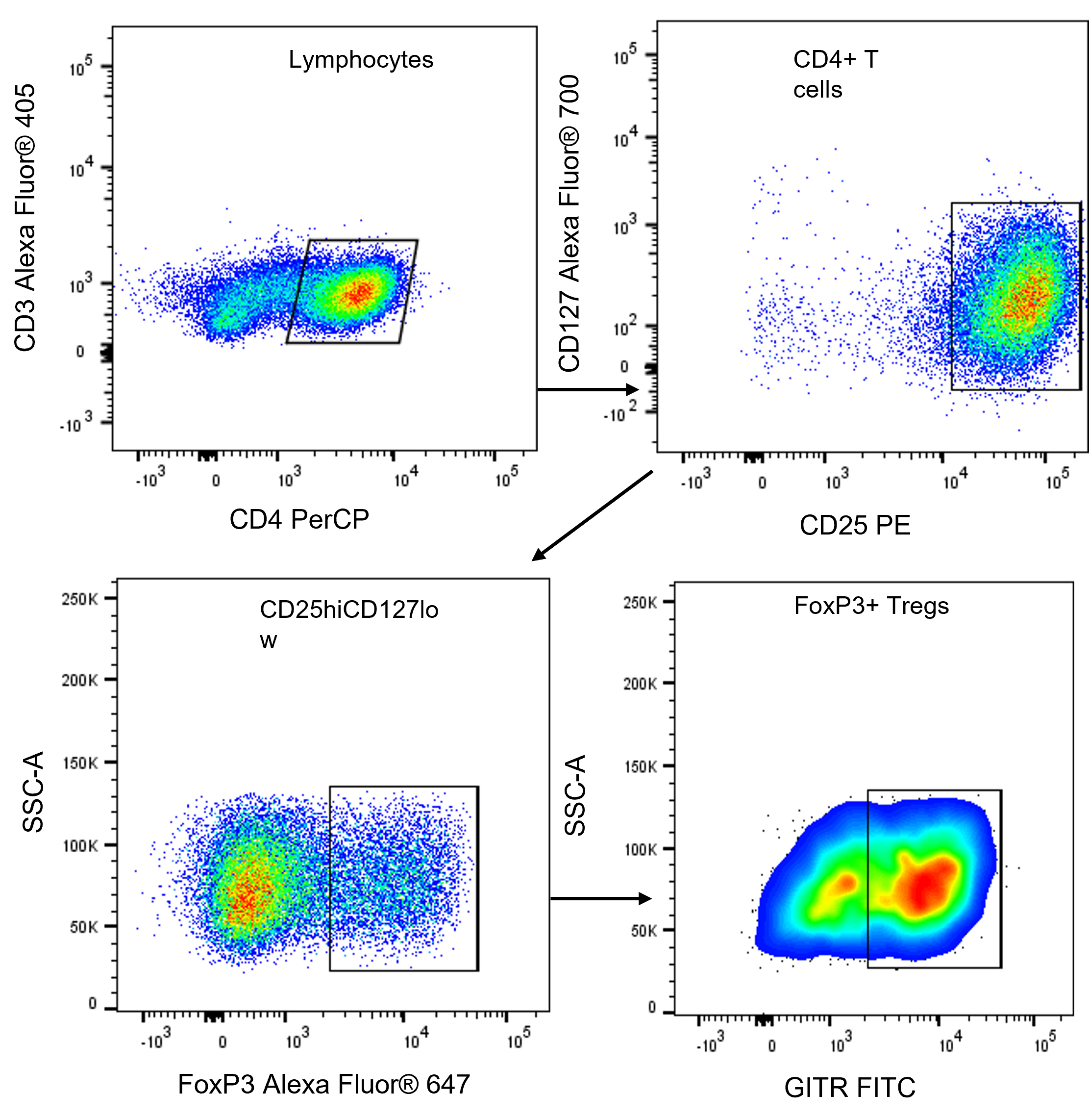 Flow Cytometry Tutorial Flow Cytometry Data Analysis Flow Cytometry ...