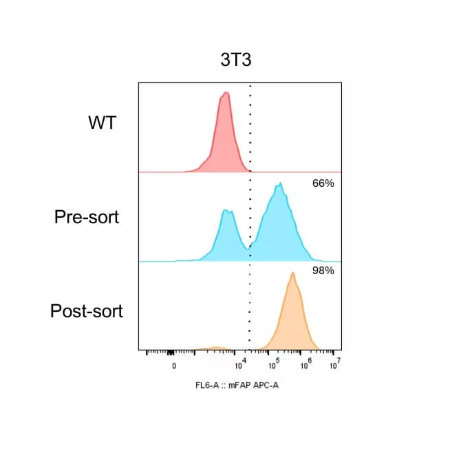 hama様 Anti-Mouse FAP Antibody MAB9727-100: R&D Systems