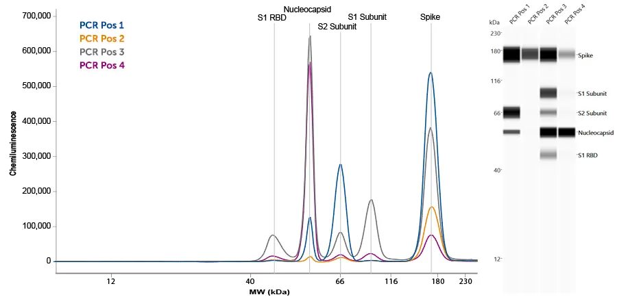 Simple Western SARS-CoV-2 serology assay demonstrates differential patient reactivity to N, S1 RBD, S1 full length, S2 full length, and Spike (S1+S2) COVID-19 viral antigens