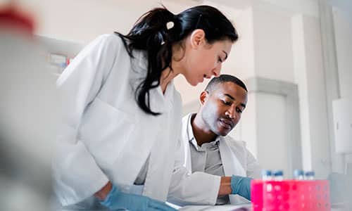 Pala is simple and requires no specialized training