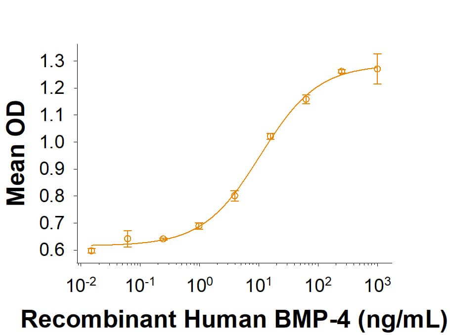 Recombinant Human BMP-4 (E. coli-expressed) Protein Bioactivity