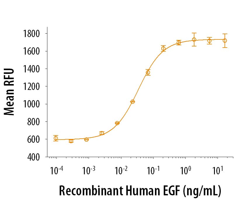 Recombinant Human EGF Protein, CF 236-EG-200: R&D Systems