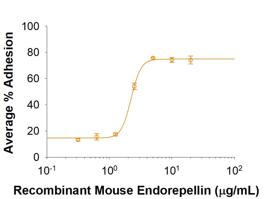 Collagen XVIII/endostatin is necessary for the organization of CF