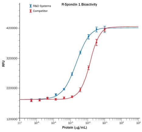 Anti-Brn-3a Antibody, POU-domain protein, clone 5A3.2 culture supernatant,  clone 5A3.2, Chemicon®