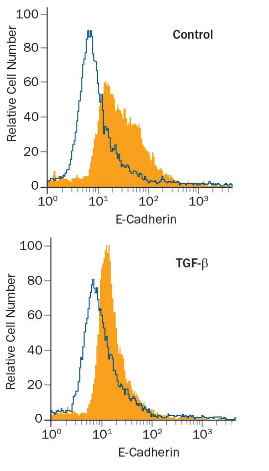 Anita Bhat Xxx - Recombinant Human TGF-beta 1 Protein 240-B-002: R&D Systems