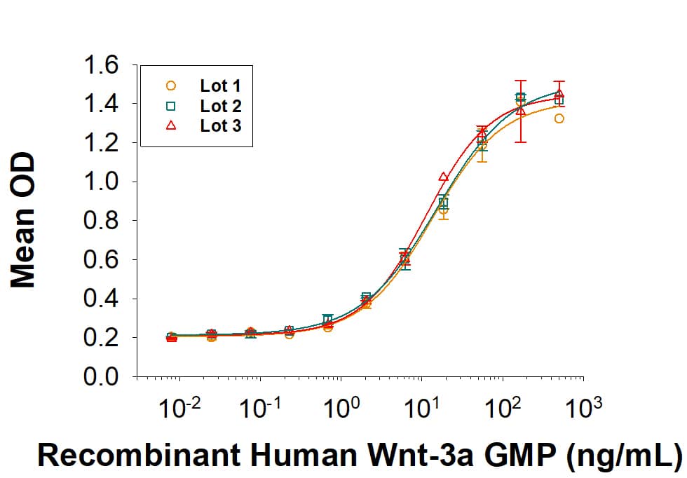 Recombinant Human Wnt-3a GMP Protein Bioactivity