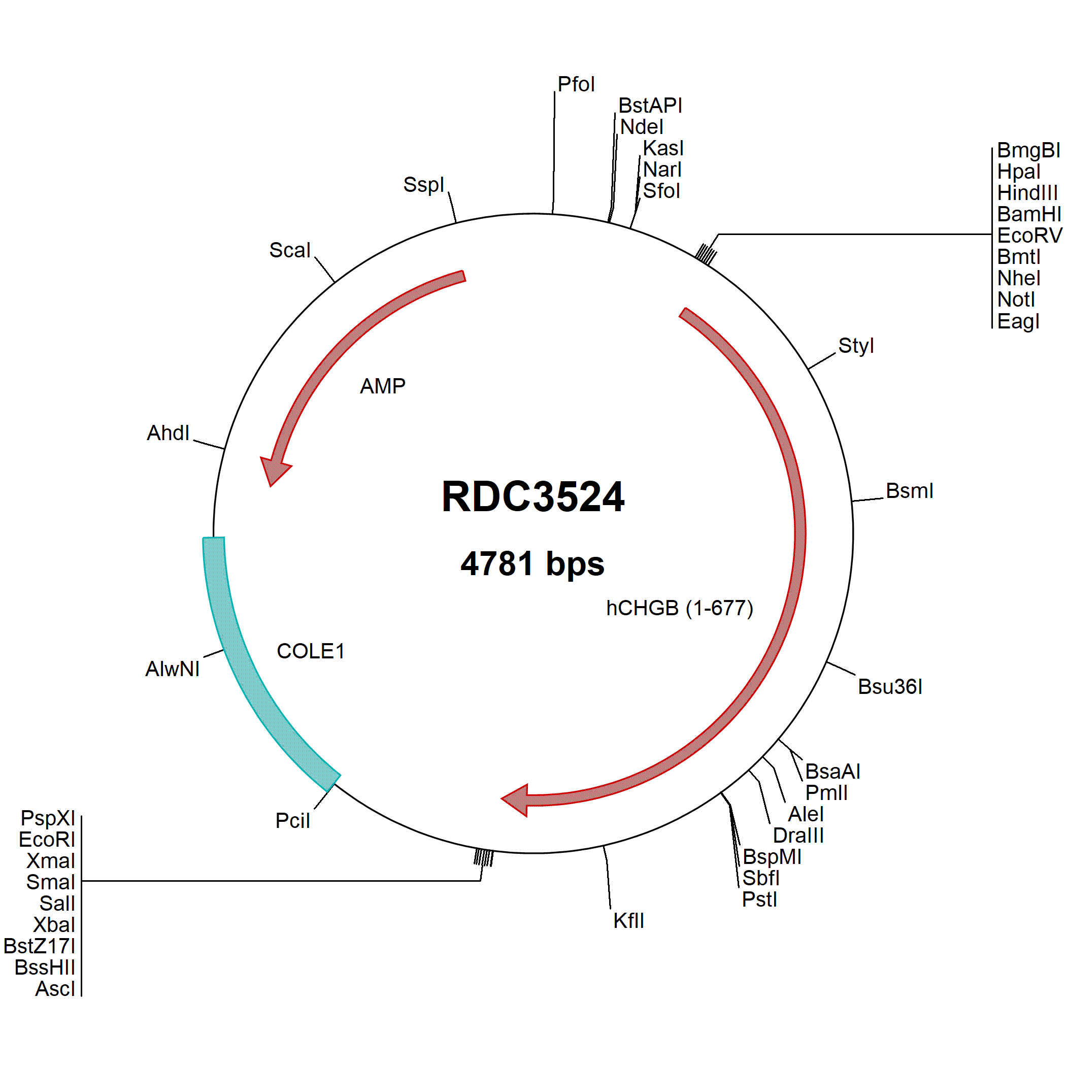 Human Chromogranin B (NP_001810.2) VersaClone CDNA RDC3524: R&D Systems