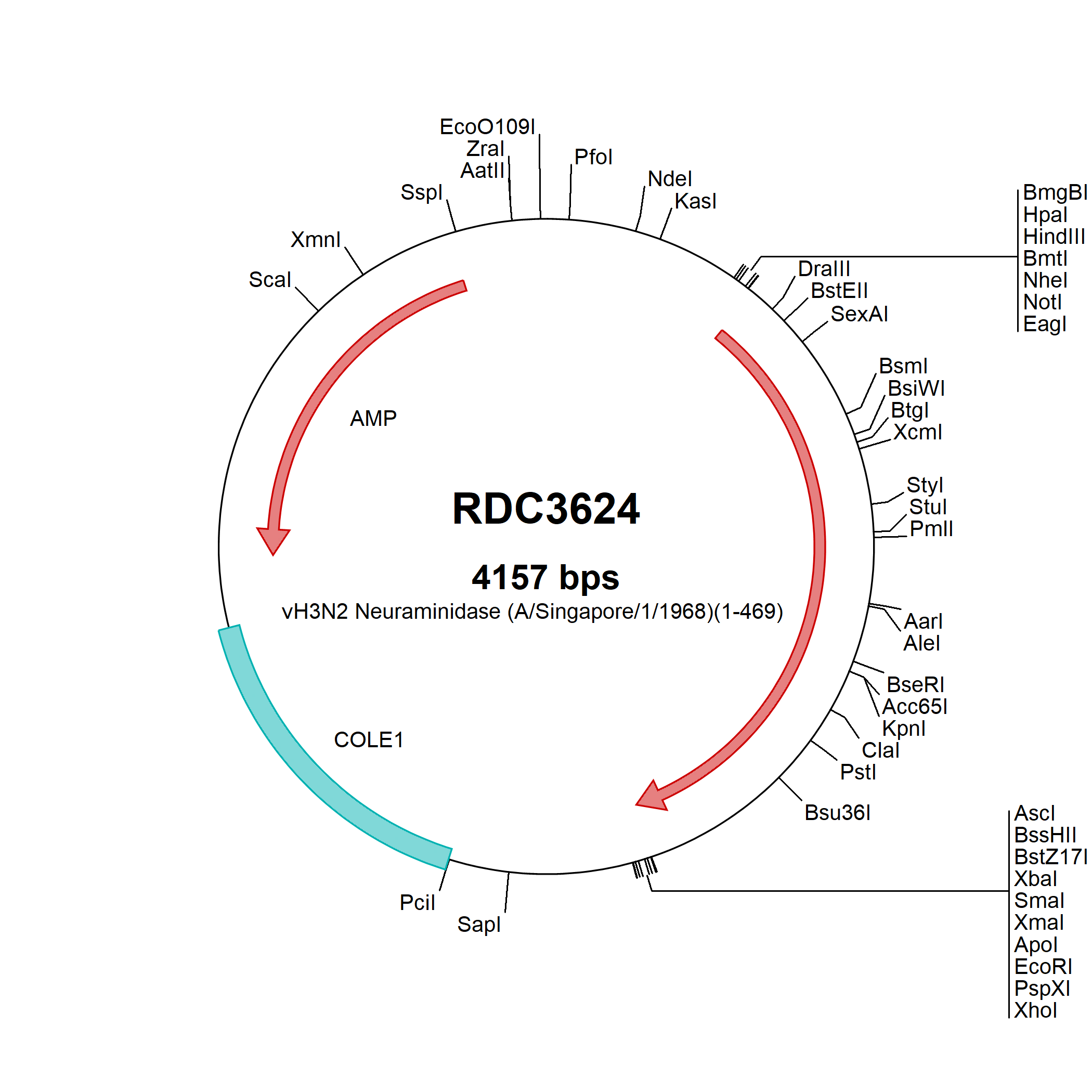 H3N2 Neuraminidase (AAO46464.1) VersaClone cDNA RDC3624: R&D Systems